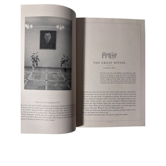 McSweeney's Issue 12: Unpublished, Unknown, & or Unbelievable 2003 Paperback - Picture 6 of 13